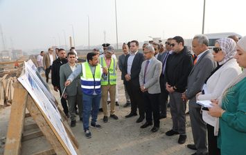 كوبرى الميمون 