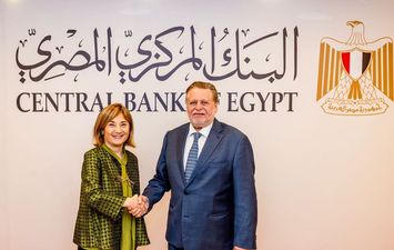 محافظ البنك المركزى
