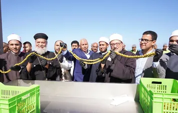 محافظ مطروح يطلق فعاليات مهرجان الزيتون الدولي 
