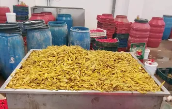 مخللات مجهولة المصدر ببنى سويف 