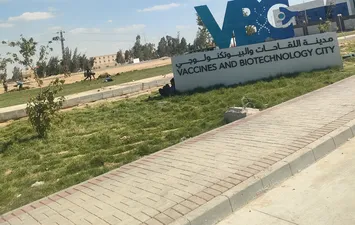 مدينة اللقاحات بالإسماعيلية 