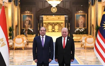  ملك ماليزيا