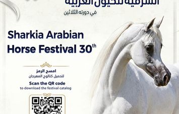 مهرجان الشرقية للخيول 