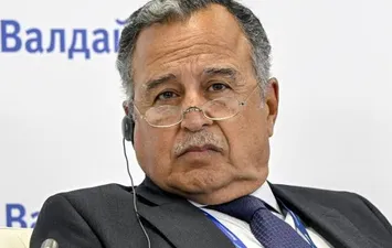 نبيل فهمي