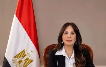 وزير الإسكان 