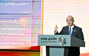 وزير الاستثمار 