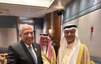 وزير الكهرباء