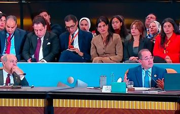 وزير المالية 