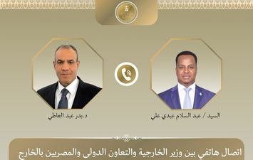 وزيرا خارجية مصر والصومال 