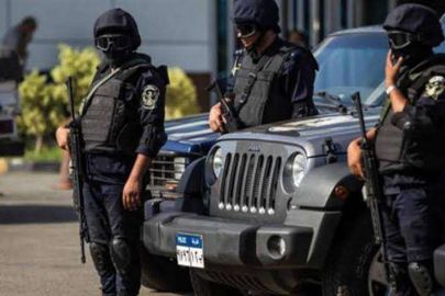الشرطة المصرية 