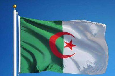 علم الجزائر 