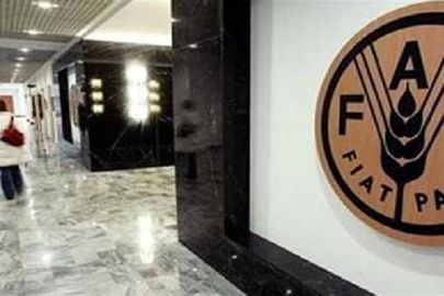 منظمة الغذاء العالمية