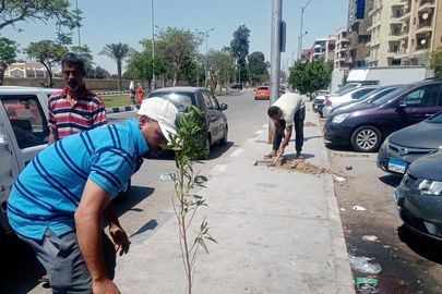 زراعة أشجار ضمن مبادرة 100 مليون شجرة