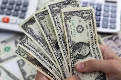 سعر الدولار 