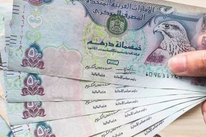 الدرهم الاماراتى 