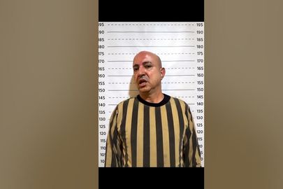 وسيم الاسد 