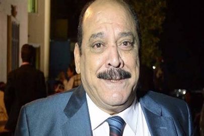 ضياء الميرغني 