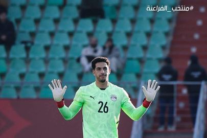 مصطفى شوبير