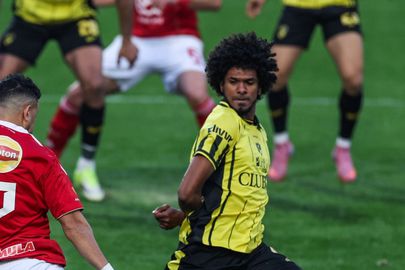 الأهلي ضد وادي دجلة 