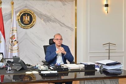 الدكتور محمد فريد وزير الاستثمار 