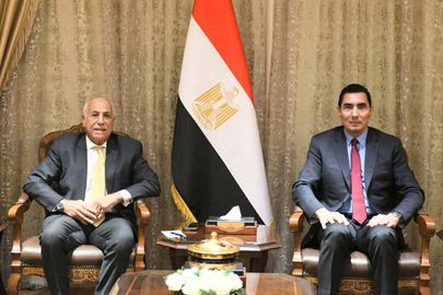 حسين لبيب وجوهر نبيل