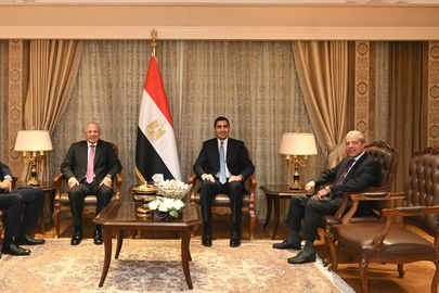 وزير الرياضة مع هاني أبو ريدة