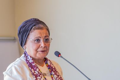 الدكتورة عبلة الألفي، نائب وزير الصحة والسكان