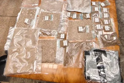 الماريجوانا