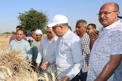 محافظ المنيا 