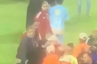 محمد الشناوي