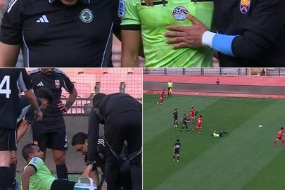 مصطفى الشهدي