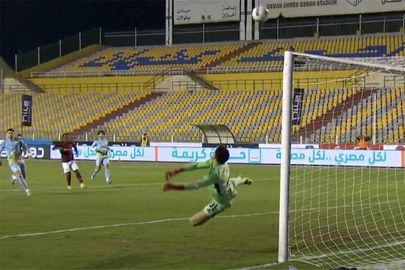 مصطفى شوبير