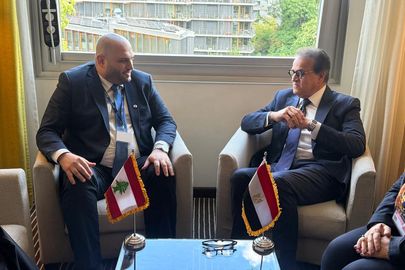 وزير الصحة أثناء لقاءه وزير الصحة اللبنانى