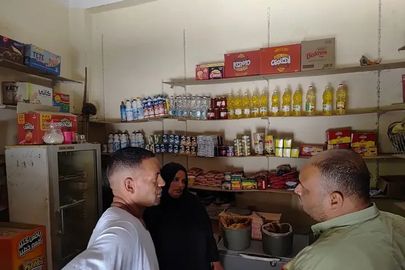 الفاعلية 