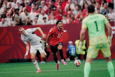مصر ونيوزيلندا 