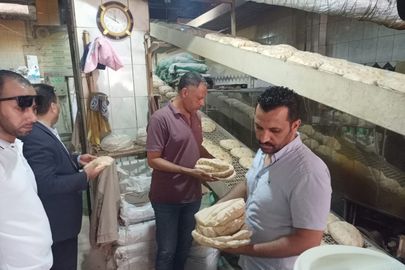 حملة تموينية