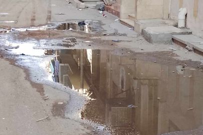 جانب من الطفح 