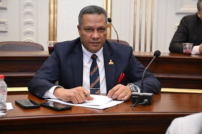 النائب محمد حمزة