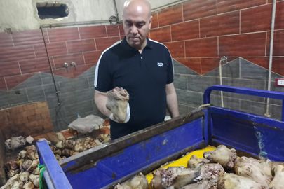 تموين مطروح 