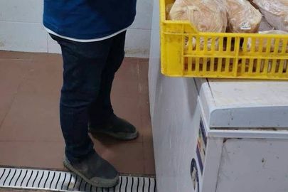 جانب من الحملة