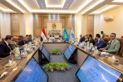 الفاعلية 