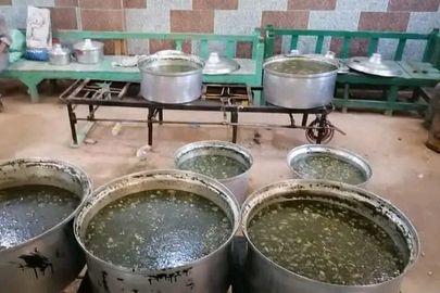 الملوخية 