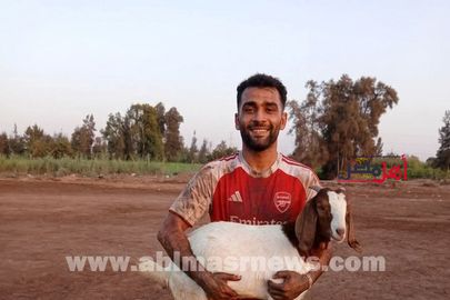 معزة.. جائزة غريبة للفائز في إحدى مباريات كرة القدم بكفر الشيخ