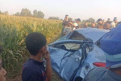 المنوفية 
