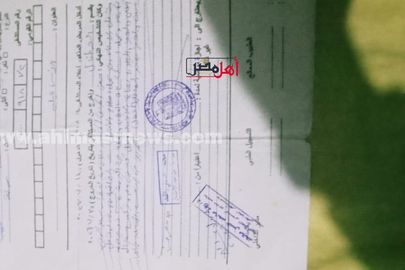 تقارير حالة الطفل 
