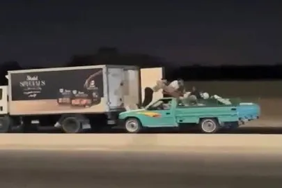 سرقة القلج في القليوبية