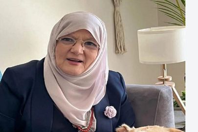 شمس البارودي