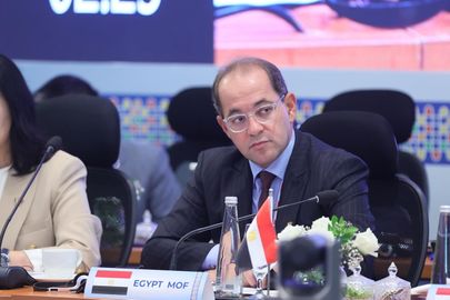 وزير المالية 