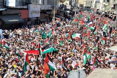 مظاهرات وفعاليات تضامنية مع الشعب الفلسطيني في أمريكا