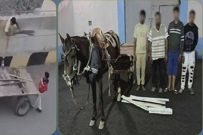 المتهمين 